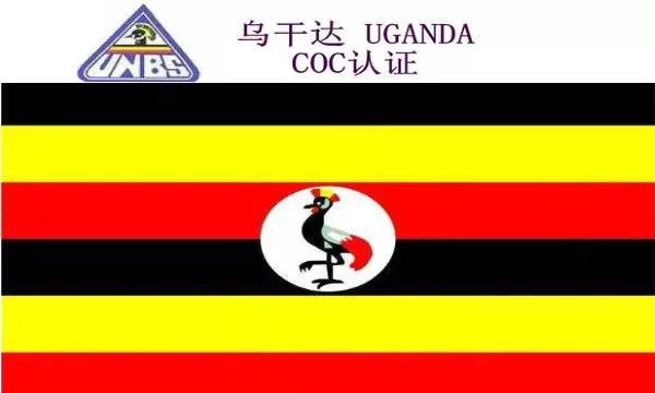 清关贸易服务