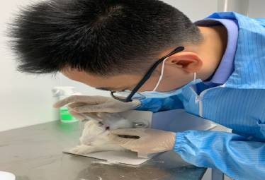 动物实验