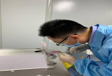 动物实验