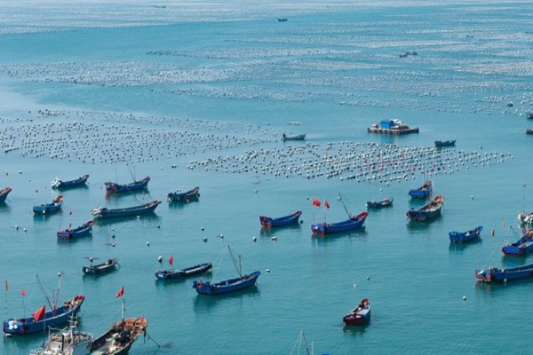 海洋生态调查
